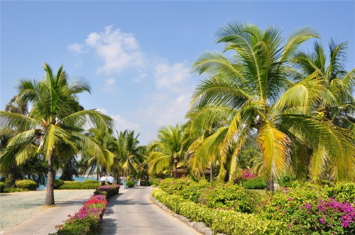 成信世代雅居效果图