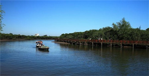 吉报海花盛景