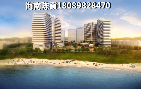 金地自在城纸得touzi吗？