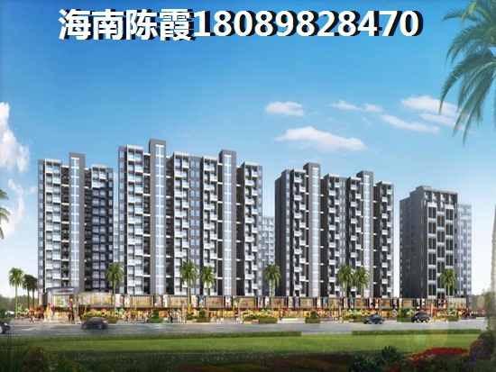 五指山XG政策