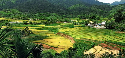 五指山泺海蝶泉湾