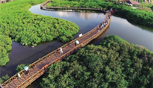 乐东龙栖湾房价涨跌走势 乐东龙栖湾房价涨跌走势