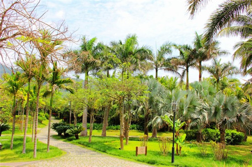港岛花园 港岛花园