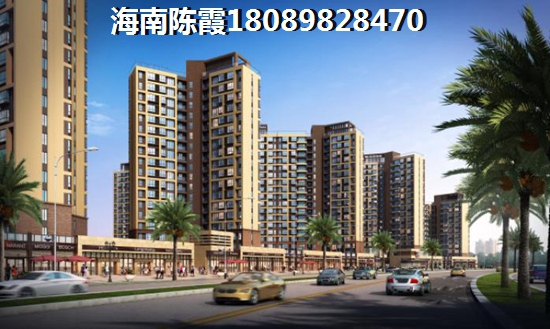 东方XG政策