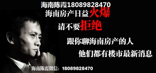三亚养老房纸不纸得touzi？