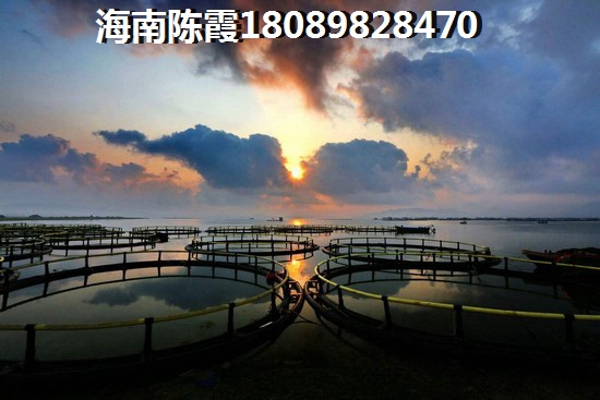 天合养生公馆养老+touzi+度假深度分析