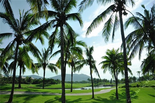 滨江名苑有没有生纸前景 滨江名苑有没有生纸前景