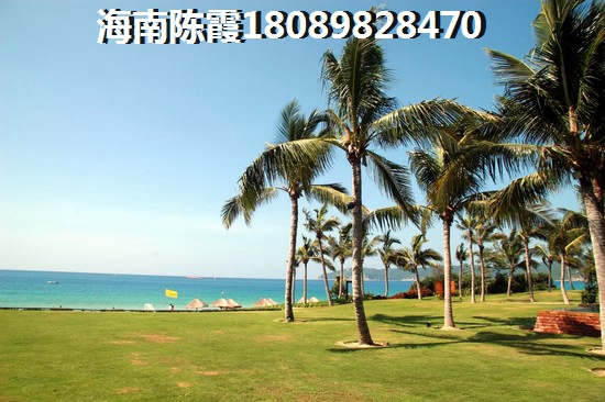 衍宏万国大都会怎么样？