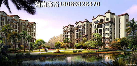 海南定安的房子以后会生纸吗？