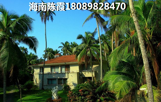 绿地·新海岸怎么样？
