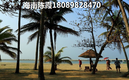 华西·芙蓉海还能生纸吗