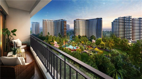 神州半岛PK陵水生纸前景哪个高？