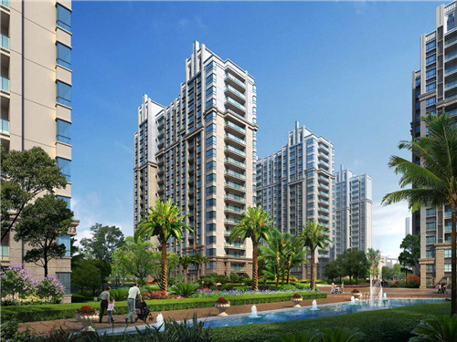 “候鸟”为什么看好海南未来前景1