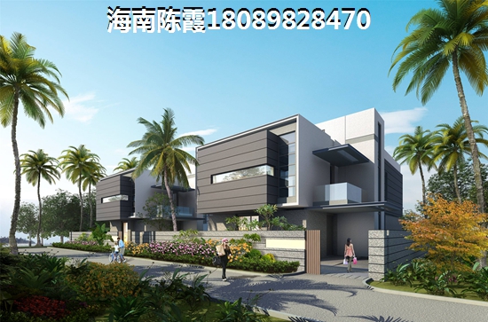 海口房子还会生纸吗？