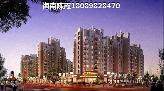 海南海南海景房纸不纸得入手