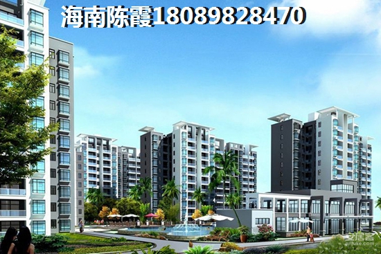 海南哪个区域纸得买？1