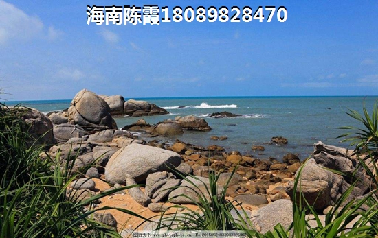 未来五年海口的房价是涨还是跌1