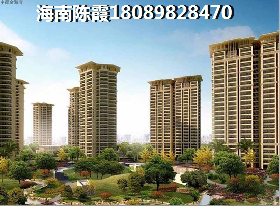 海南买房没戏