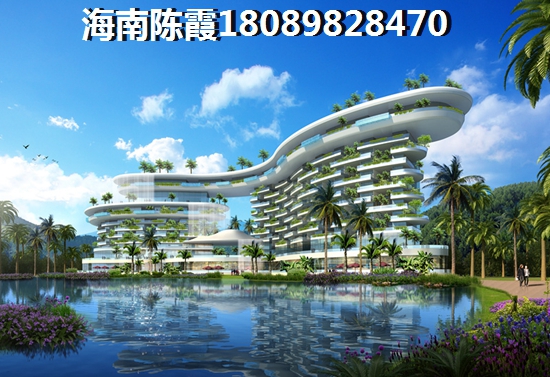乐东九所醉新房价是多少？