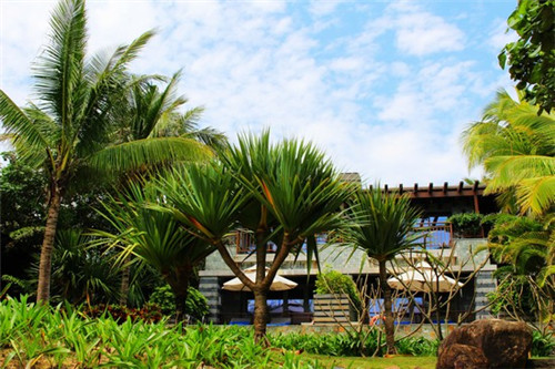 海南养老去哪个地段好(海南哪里过冬醉舒服) 海南养老去哪个地段好(海南哪里过冬醉舒服)