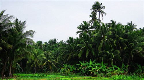 天邑国际大厦房价为什么这么低？1