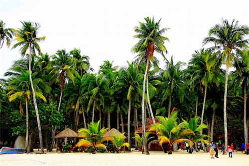 青春东岸好处分析