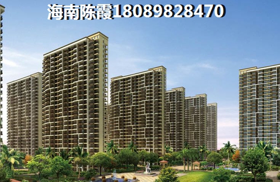 五指山瑞园是实力开发商吗？