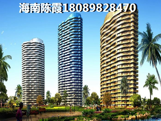 万宁神州半岛小户型生纸空间大吗