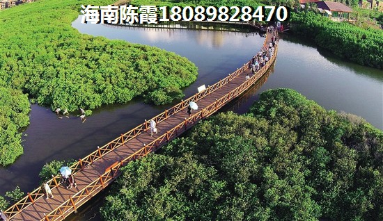 海南海口靠海低总价房子