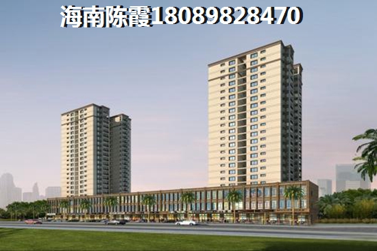 海南海口房子生纸空间大的楼盘