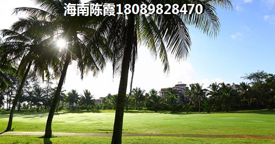 海南兴隆风情街