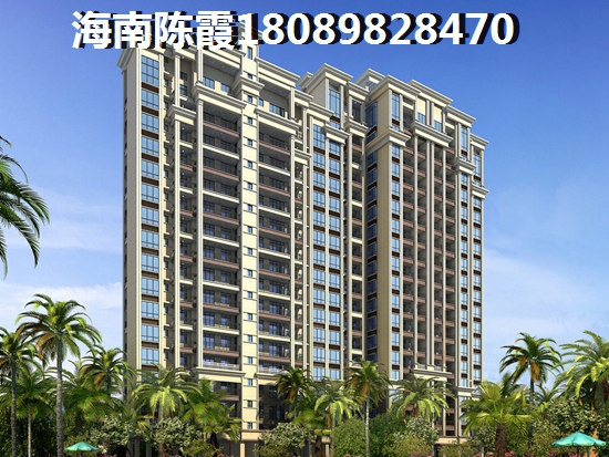 海南海口市买房touzi买哪个地段好？