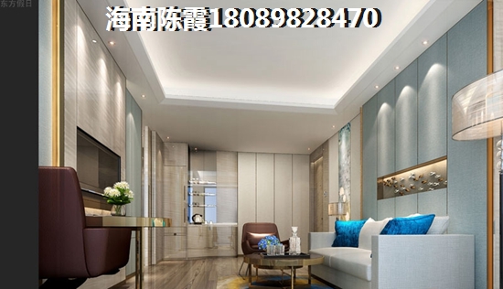 万科在乐东有什么项目