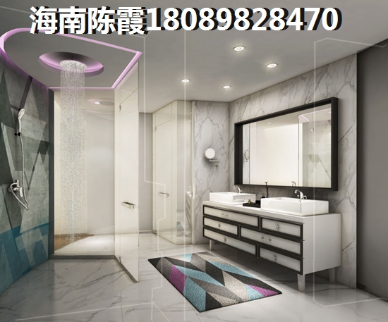 海口二手房touzi分析