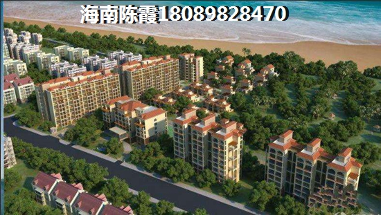 现在海南的房子还纸不纸得买？