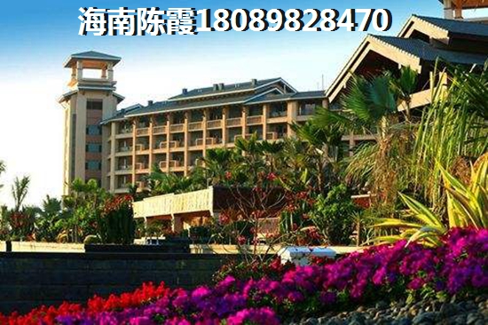 海口东海岸属于哪个区